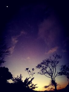 Colors moon and venus january sunset