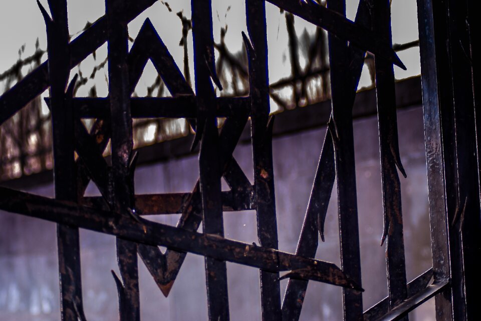 Hitler era dachau crime