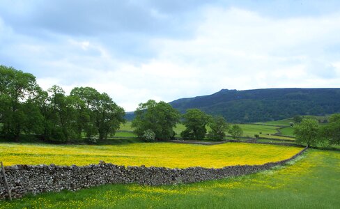 Walled fields yorkshire