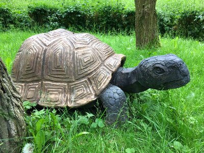 Turtle figure old