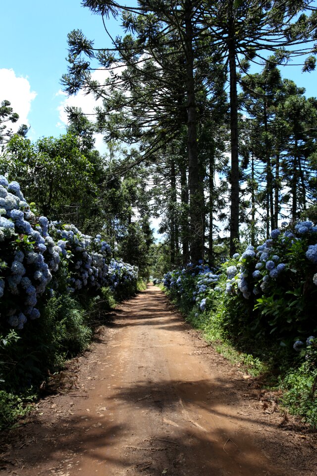 Outdoor nature landscape photo