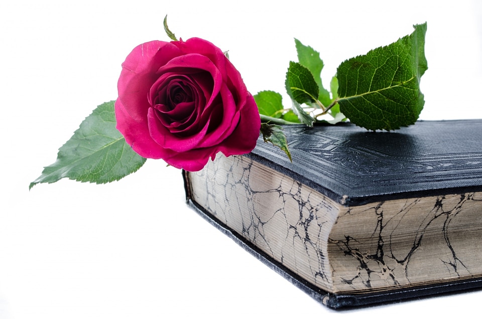 Book love decoration