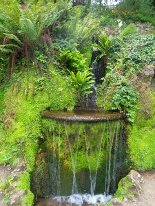 Nature fountain green plants