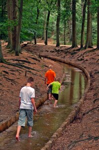 Play forest hiking