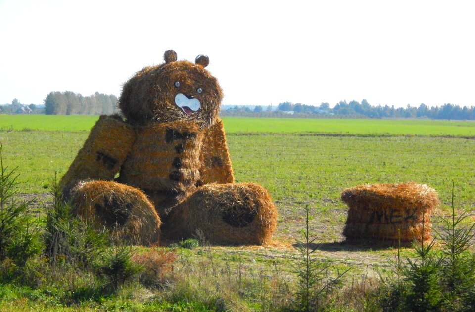 Straw bear the road
