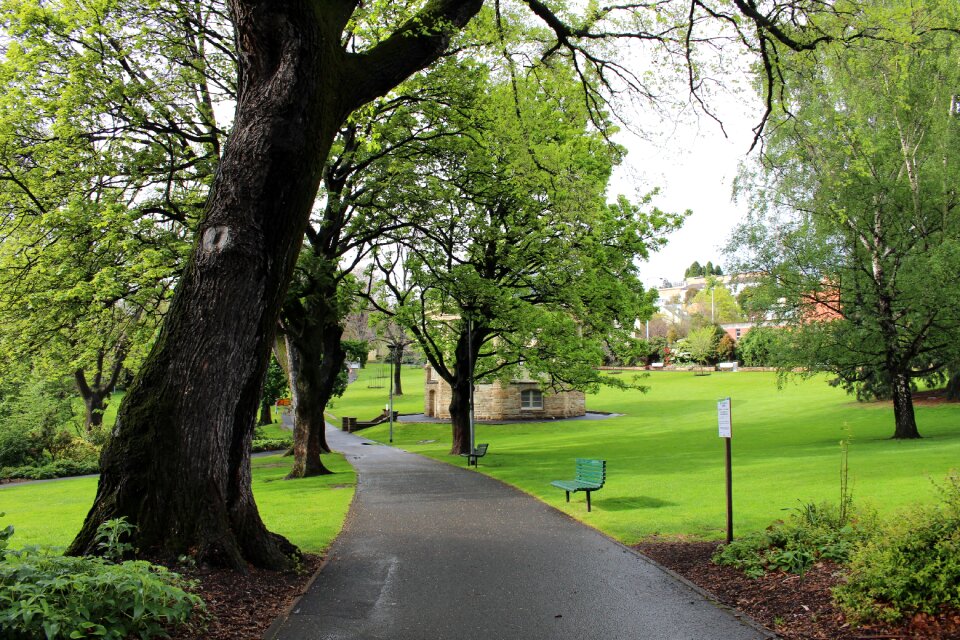 Tasmania bench park