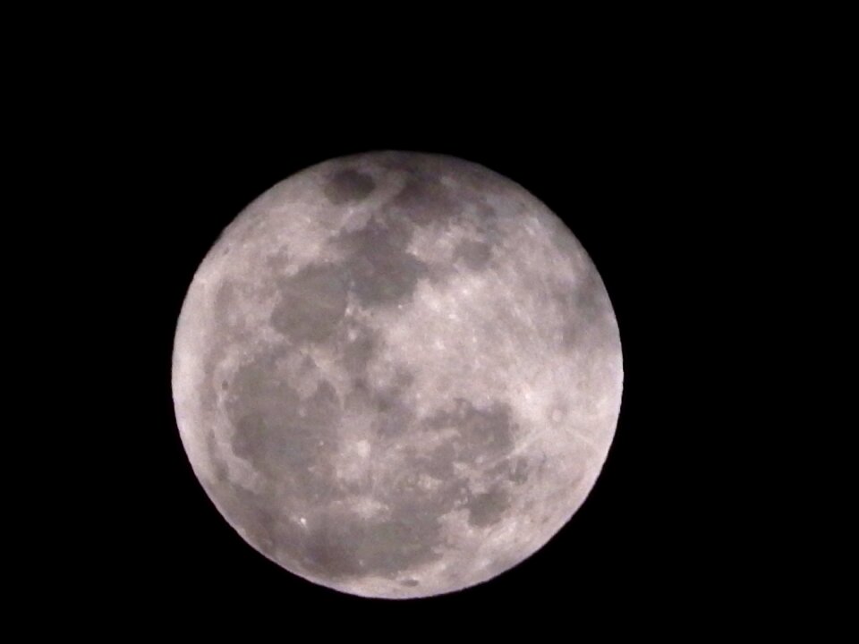 Moon night