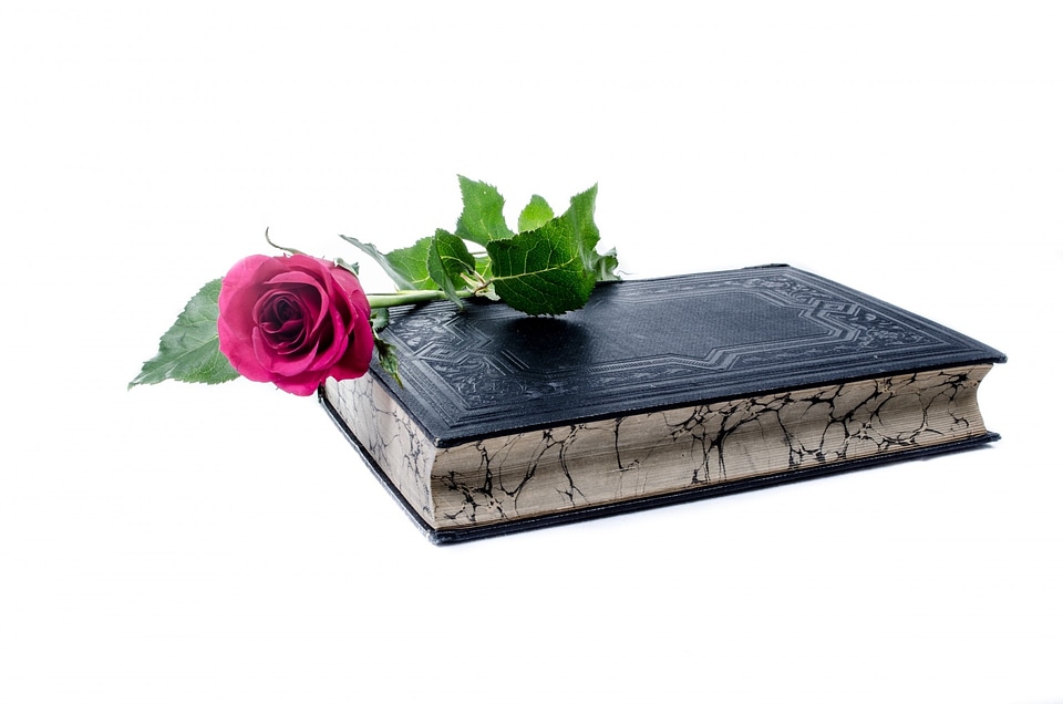 Book love decoration