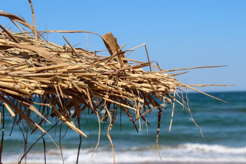 Bulgaria summer beach sea