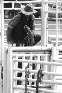 Western equine rider photo