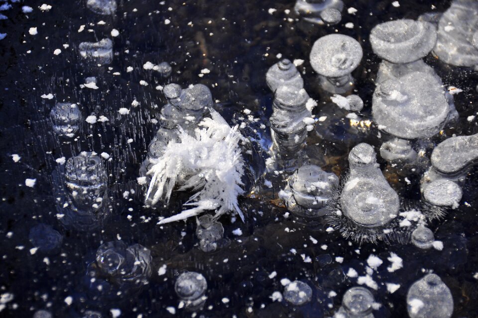 Frost frosty freezers