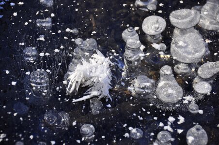 Frost frosty freezers photo