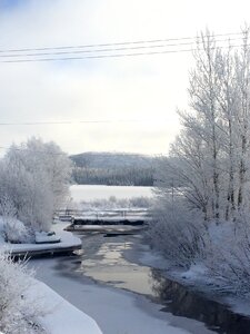 Snow creek nature