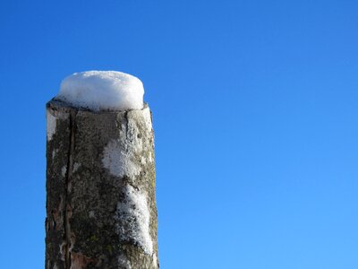 Spruce ottawa blue sky