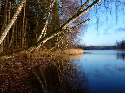 Masuria lake forest photo