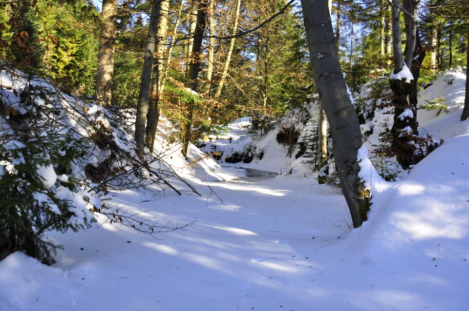 Torrent landscape snow