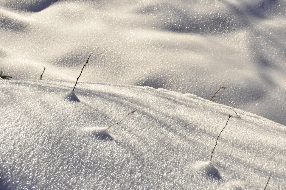 Frost ice not cold