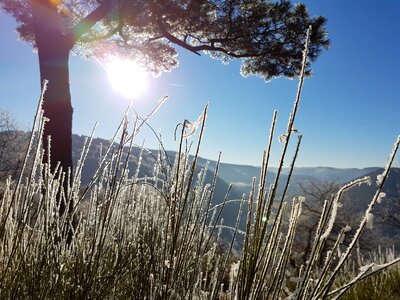 Frost eifel winter