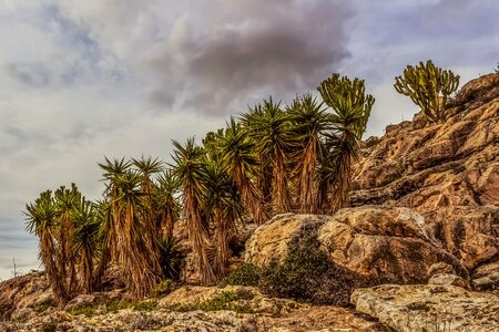 Landscape nature formation photo