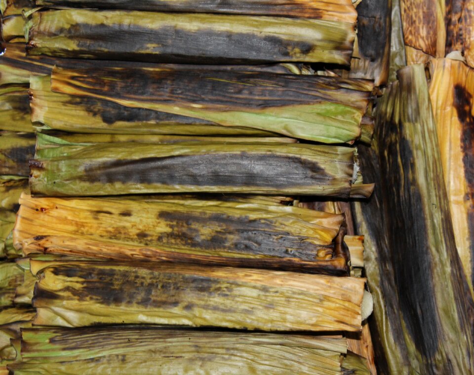 Food northeast texture