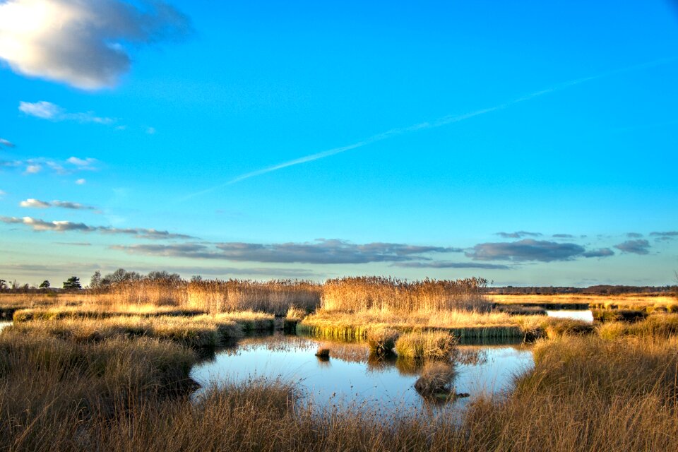 Landscape water environment