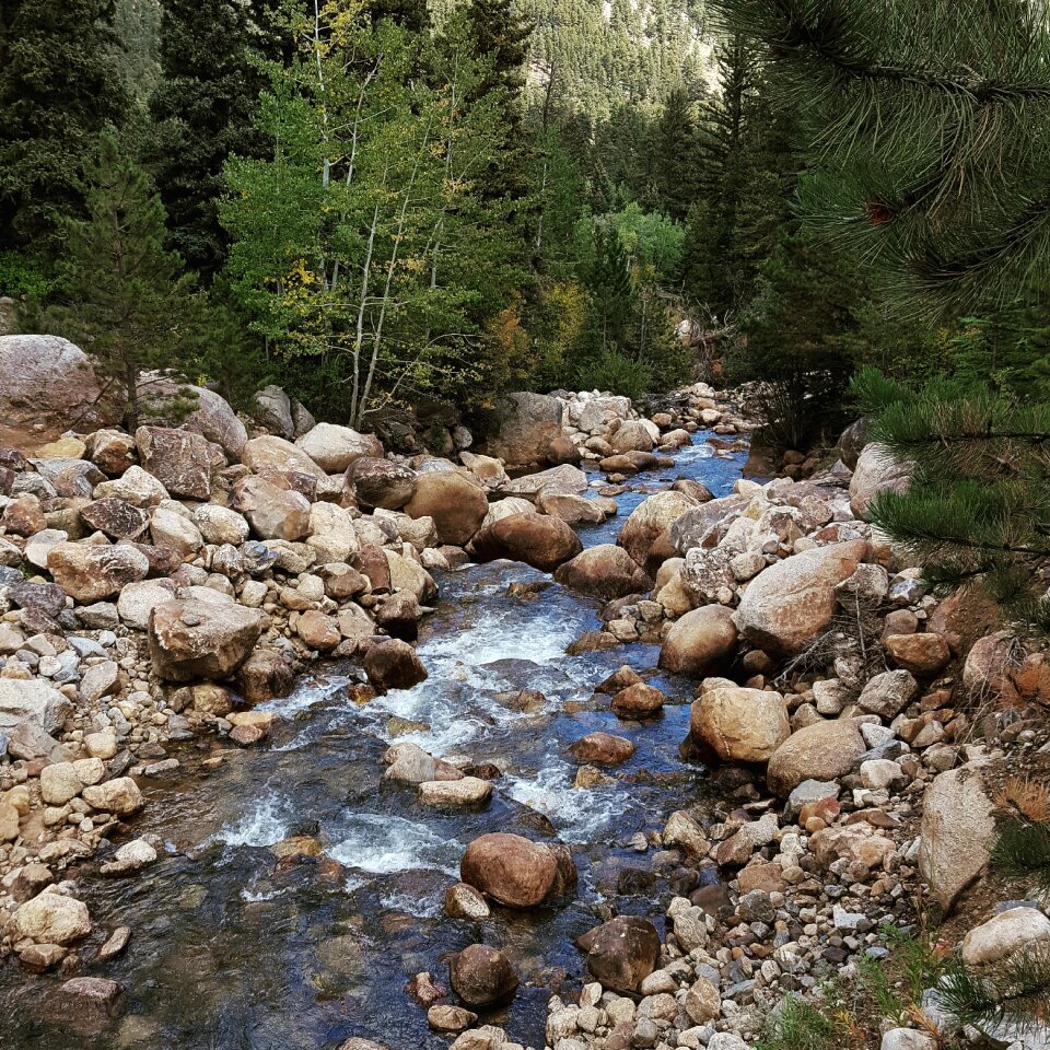 Brook rocks