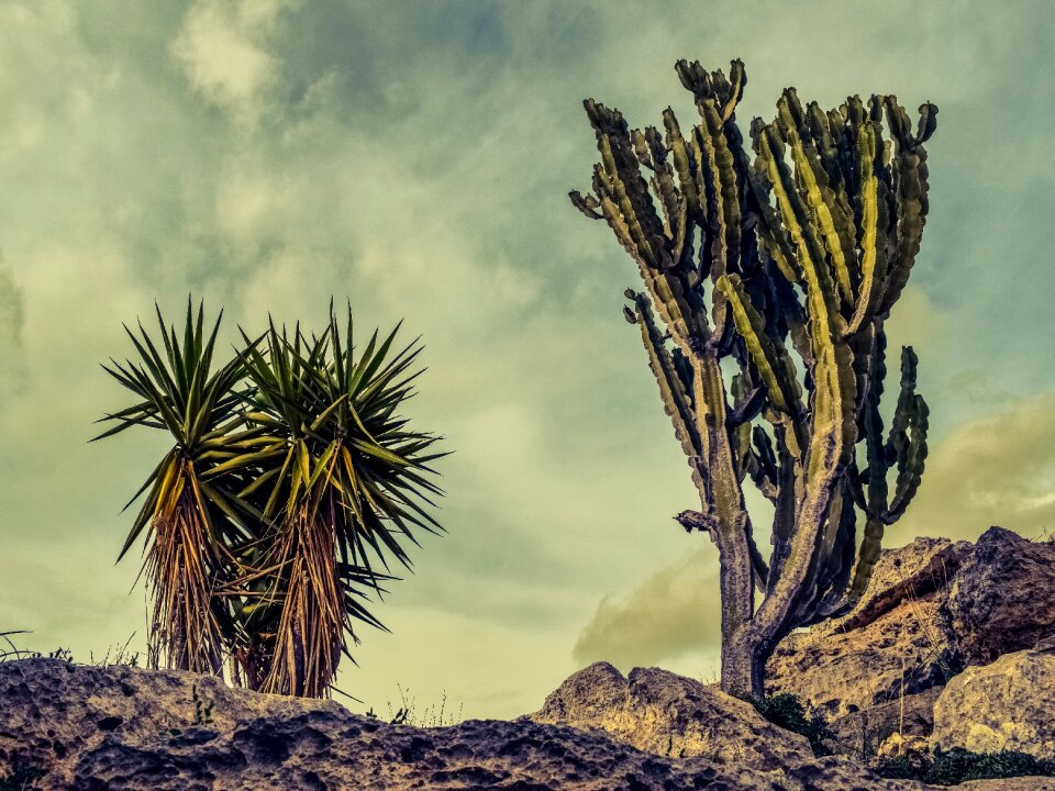 Nature geology nature landscape