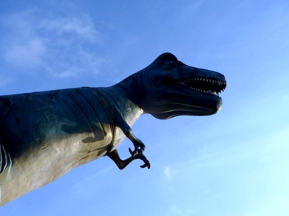 Dinosaurs cloud sky