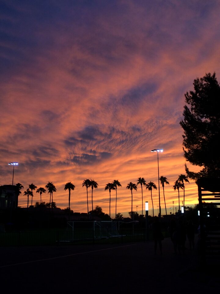 Palm tree sky clouds