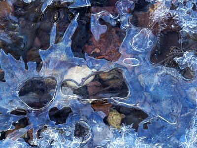 Ice frost winter magic photo