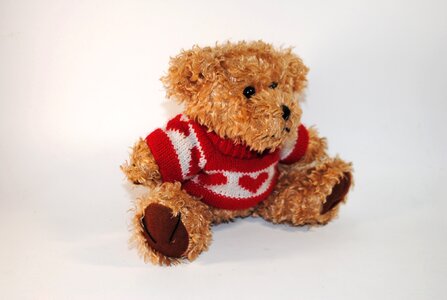 Toy tenderness love