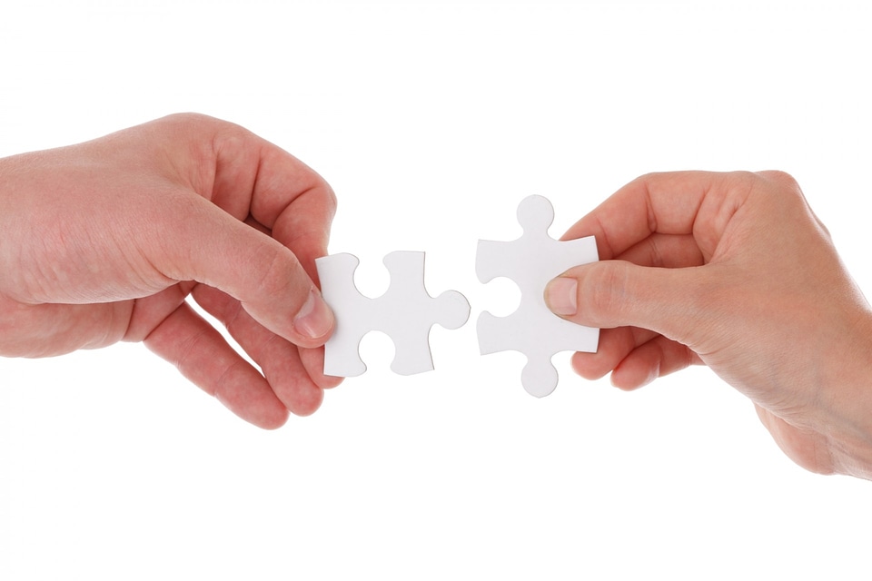 Hands holding isolated