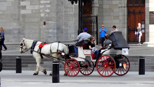 Cart transport montreal photo