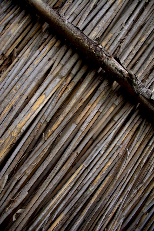 Nature structure countryside