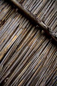 Nature structure countryside
