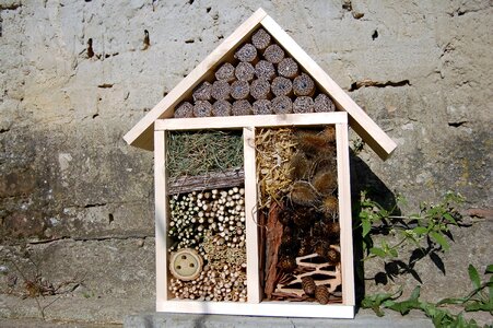 Shelter wood observation
