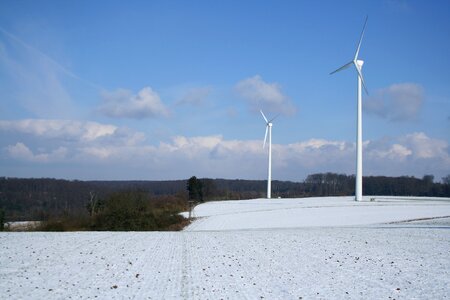 Nature wide field