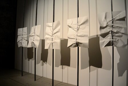 Art biennale installation