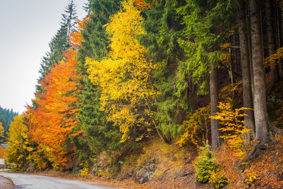 Nature colors jizera mountains