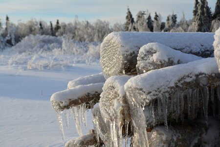 Snow landscape nature photo