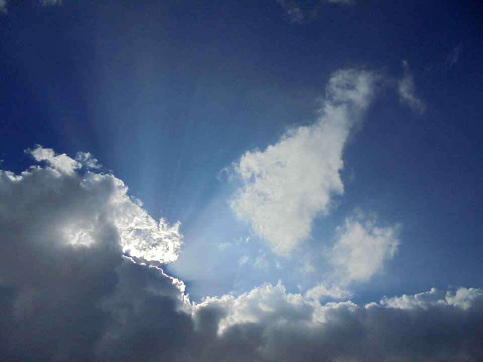 Rays sky blue