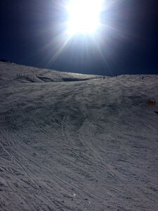 Ski sunny winter