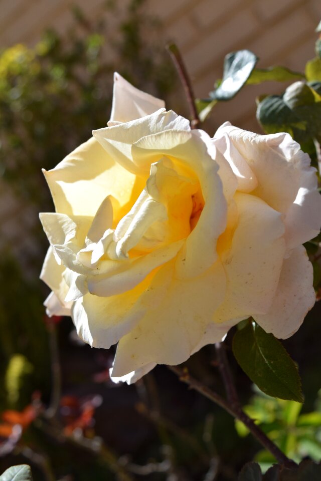 White nature lovers