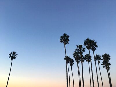 Sky silhouette
