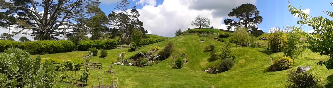 New zealand matamata