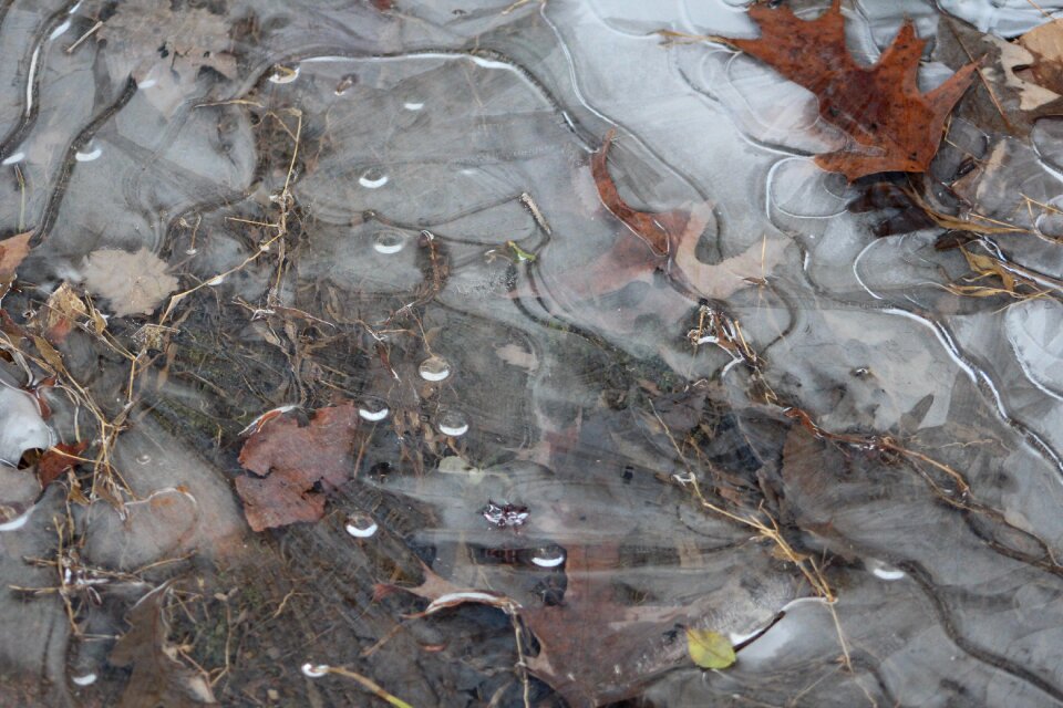 Brook season white