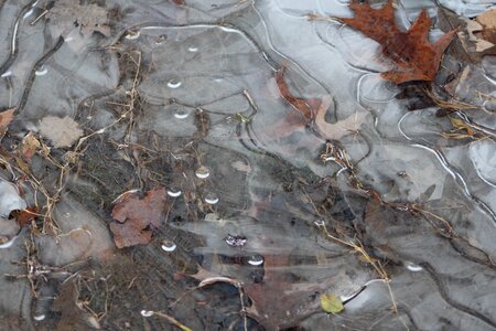 Brook season white photo