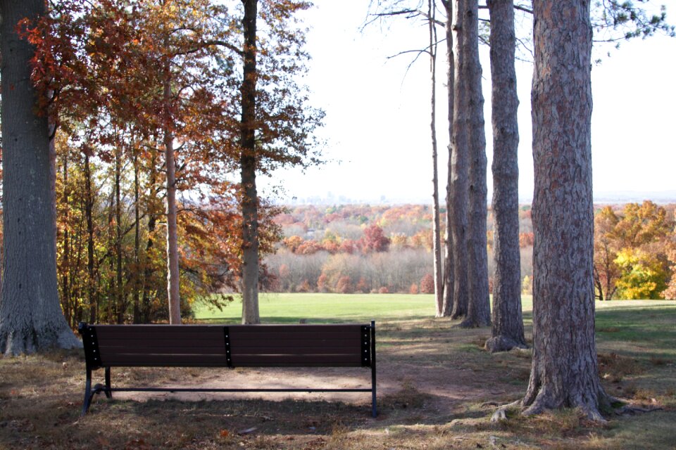 Park wooden outdoor