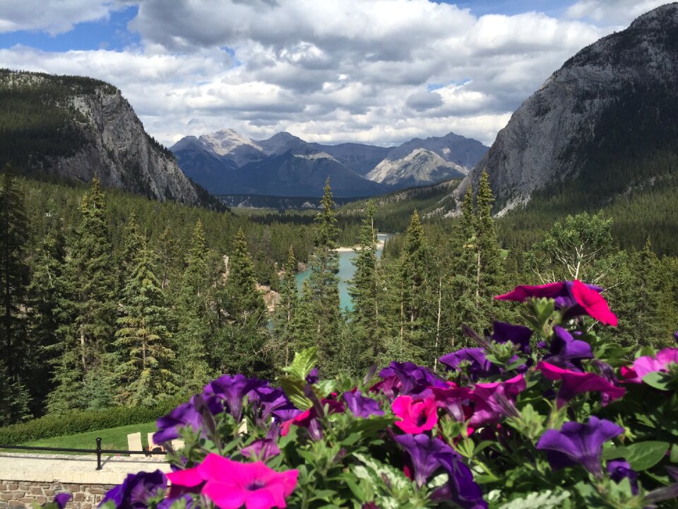 Summer landscape canada