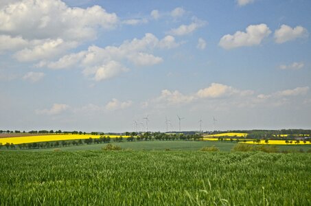 Nature landscape summer